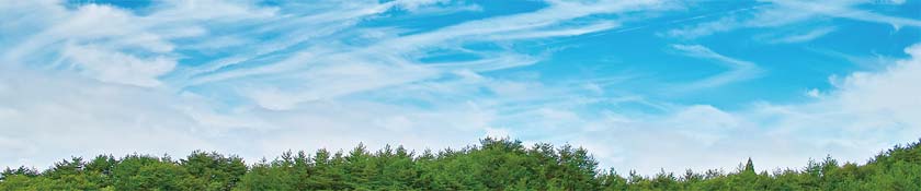 カーボンオフセットとは