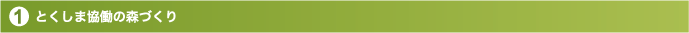 とくしま協働の森づくり