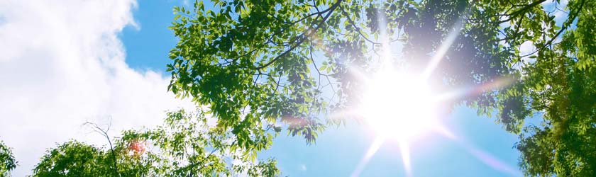 徳島　カーボンオフセット推進協議会